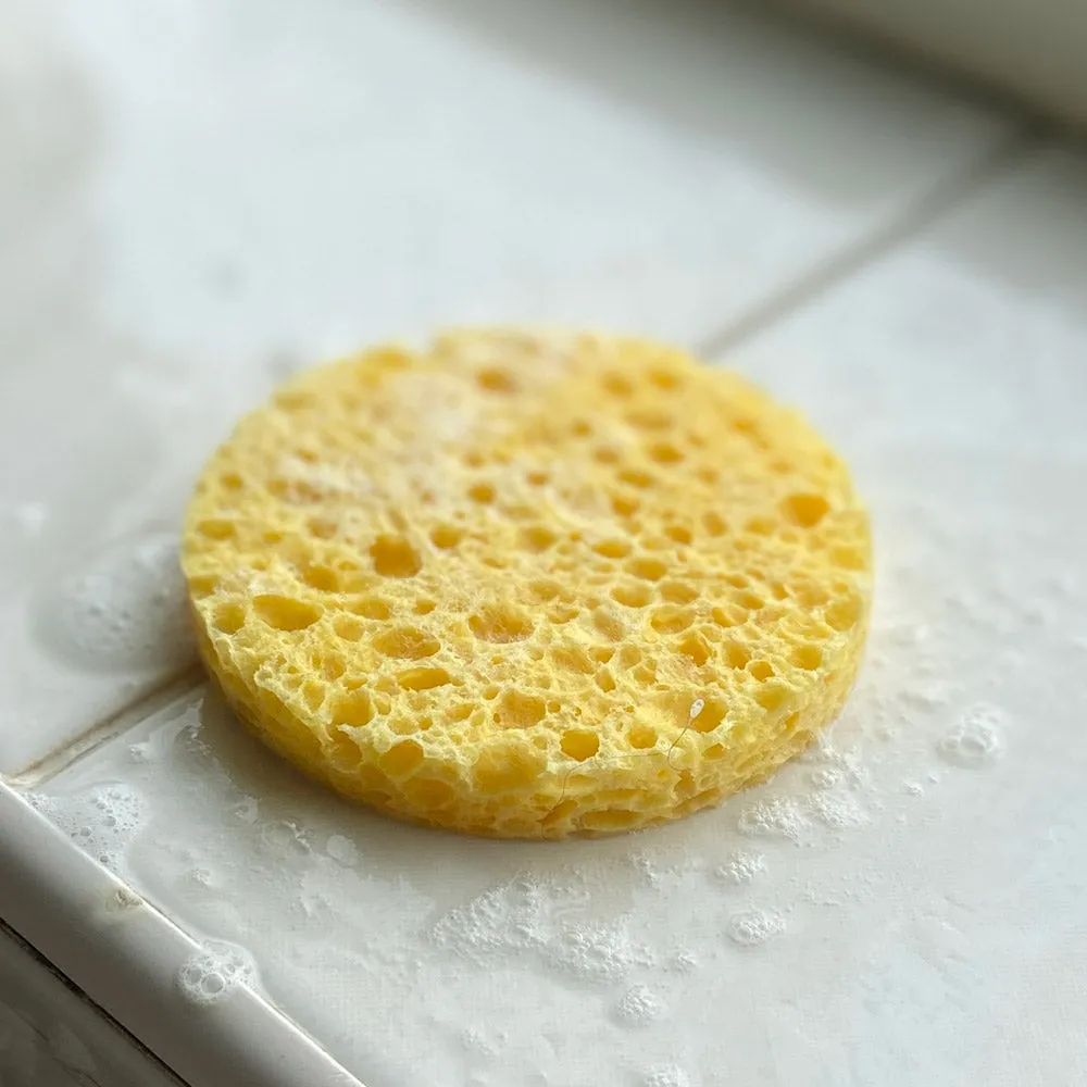 A Slice Of Green Cellulose Facial Sponge