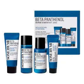 Beta Panthenol Repair Starter Kit