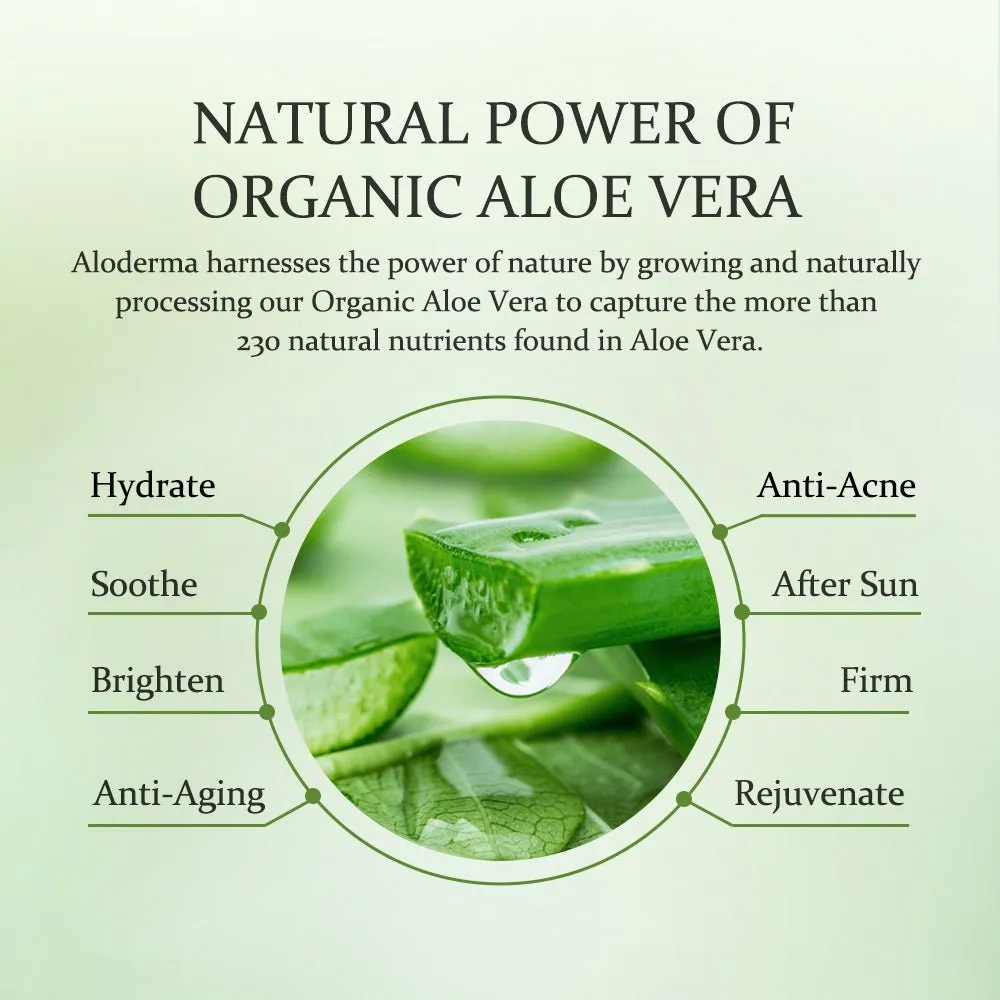 Essential Aloe Soothing Set